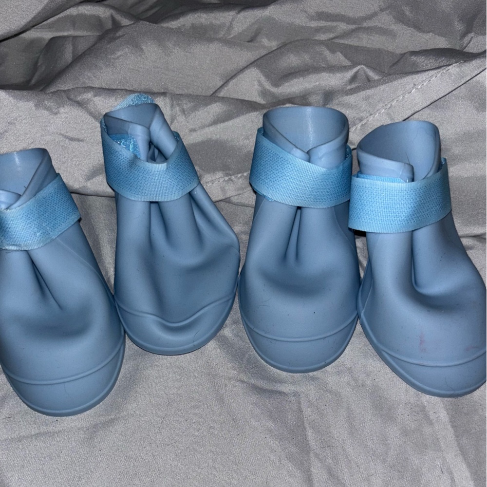 Blue Dog Rain Boots
